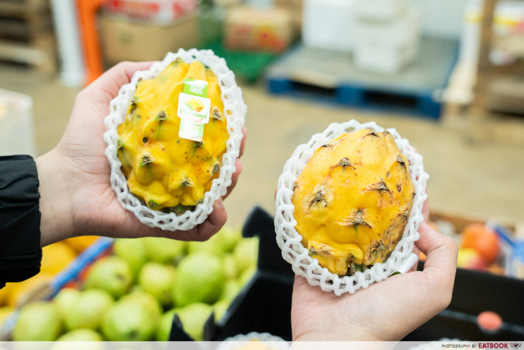 pawfect-fruit-buffet-dragonfruit-intro