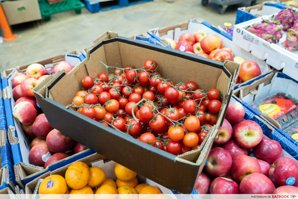 pawfect-fruit-buffet-tomatoes