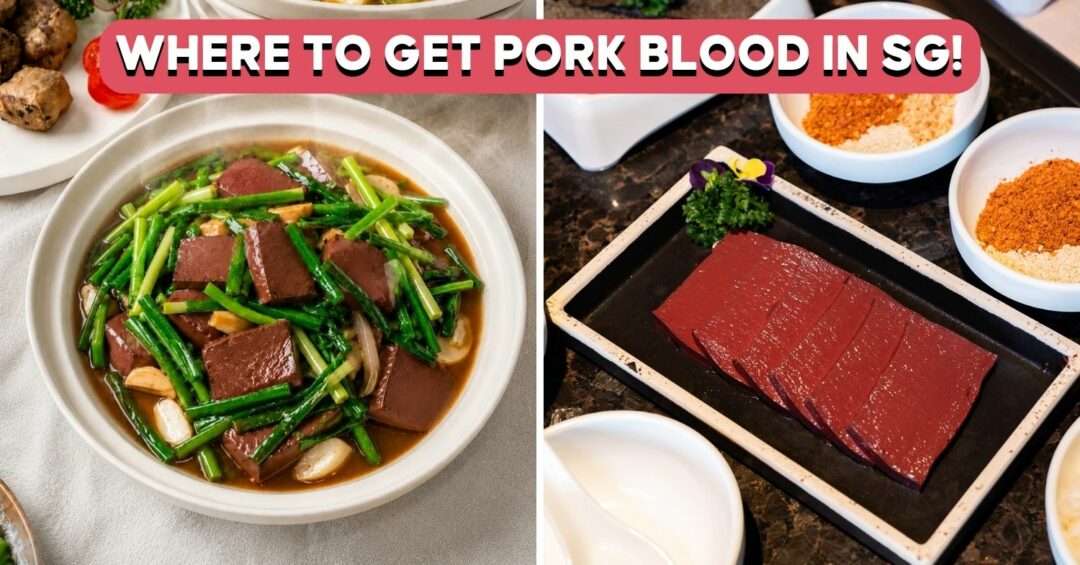 pig-blood-curd-dishes-singapore-cover