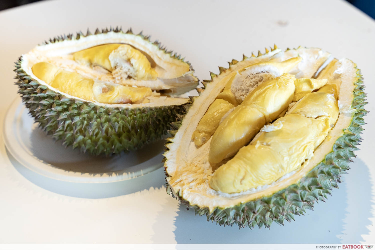 tupai king durian close up