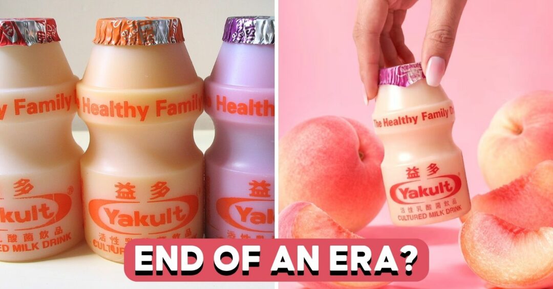 yakult-orange-cover