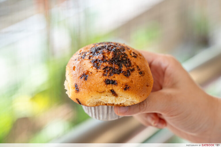 chocolat-n-spice-chocolate-chip