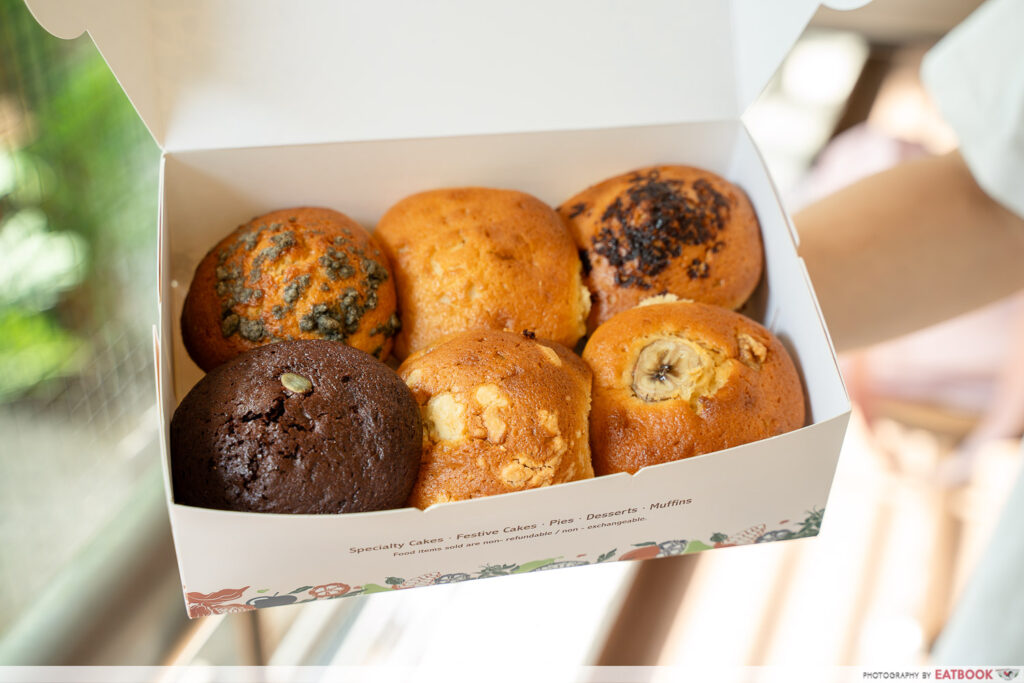 chocolat-n-spice-muffins-box