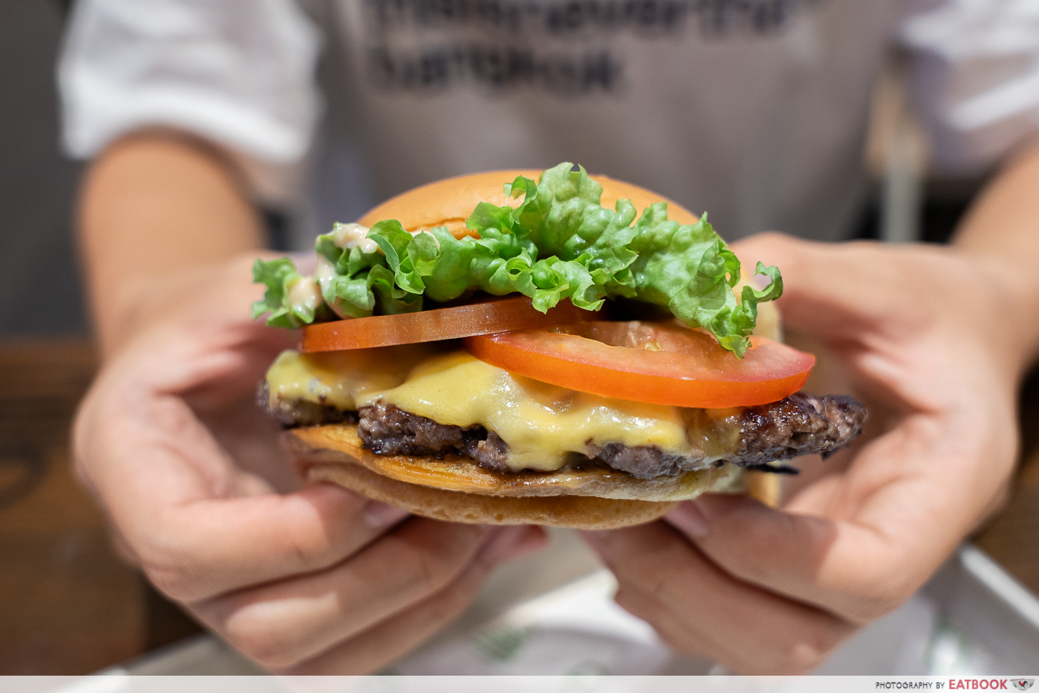shake-shack-shack-burger