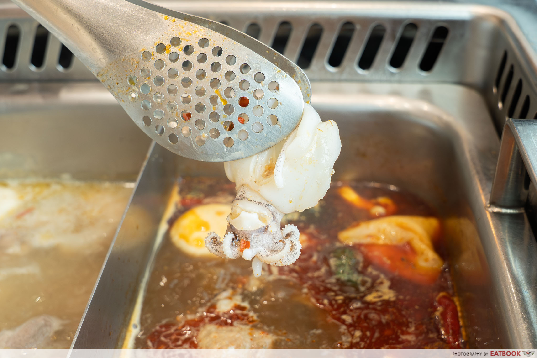 hahahotpot-baby-cuttlefish