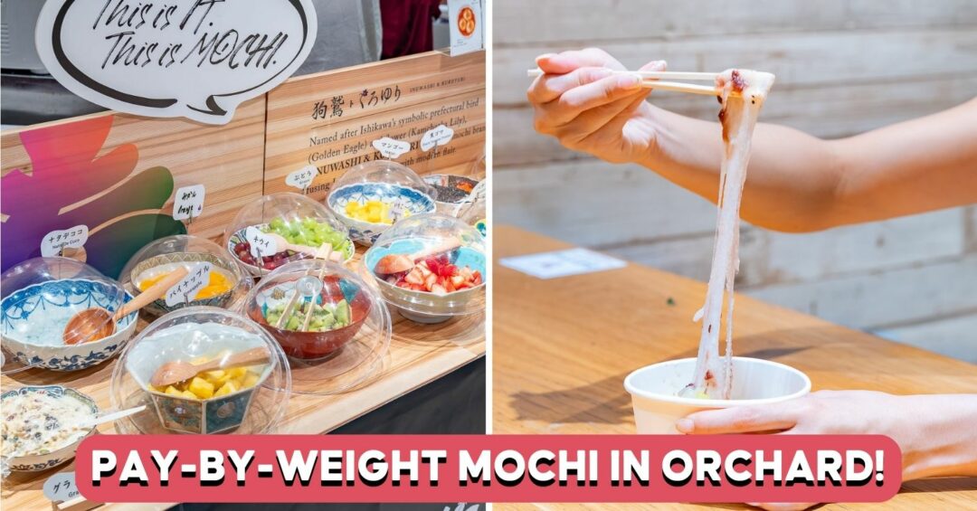 MOCHI-BOWL-DIY-COVER