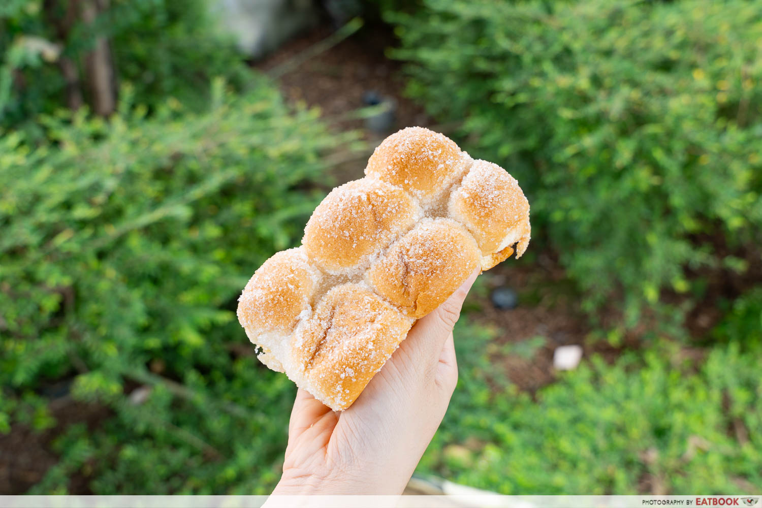 bunnis-butter-sugar-mini-buns-intro-shot