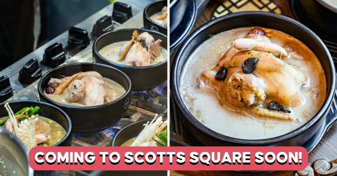 BOMUL-SCOTTS-SQUARE