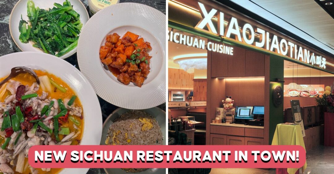 xiao jiao tian wisma atria feature image