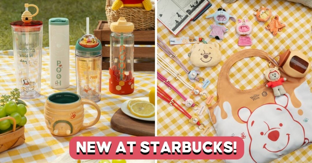 STARBUCKS-WINNIE-POOH-COVER