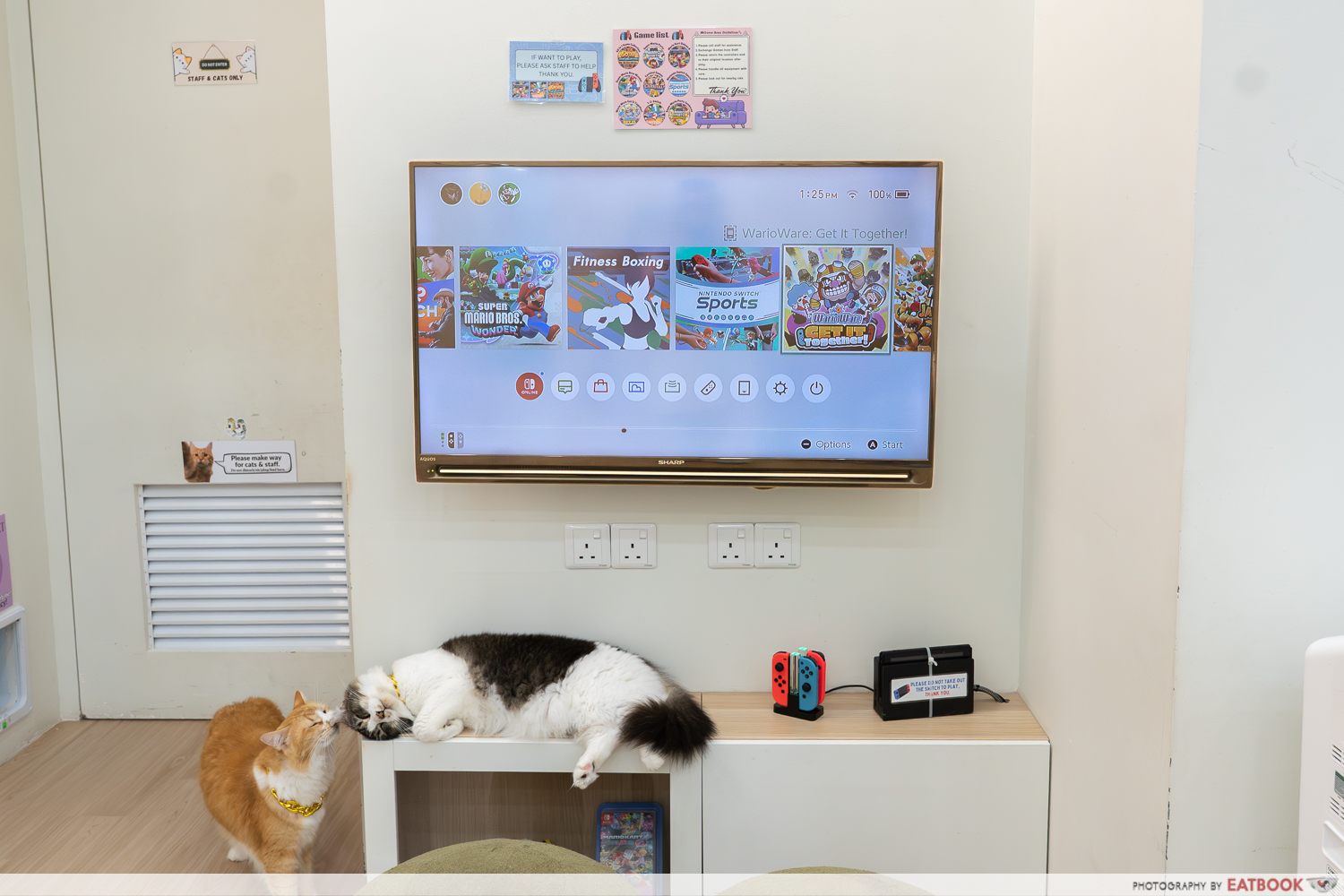 chucky-cat-cafe-console