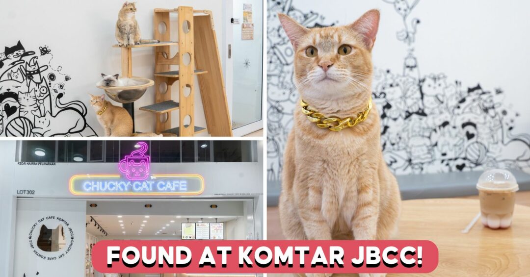 chucky-cat-cafe-coverpic