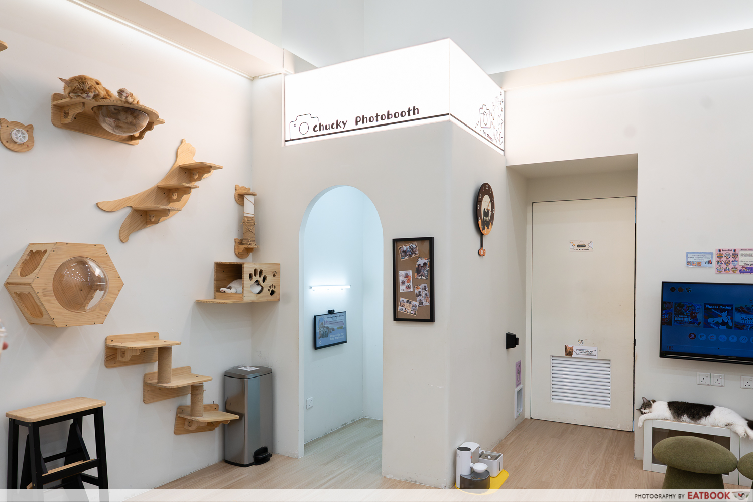 chucky-cat-cafe-photobooth
