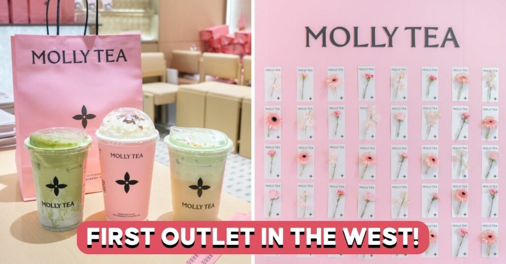 molly-tea-coverpic