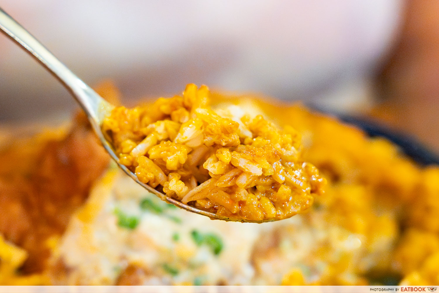 over-curry-rice