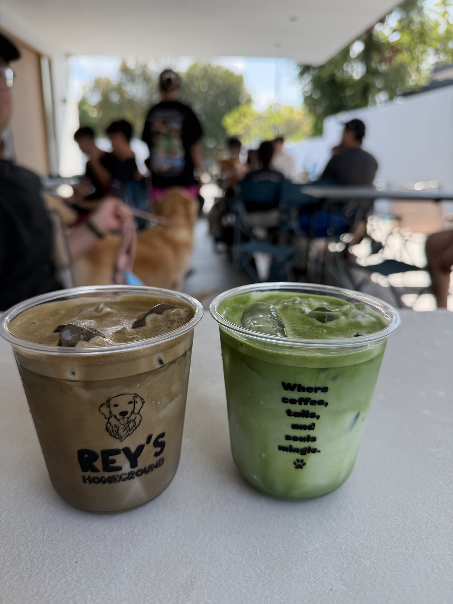 reys-homeground-matcha
