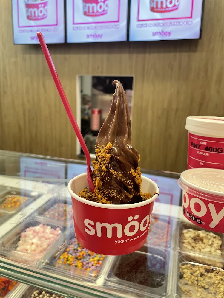 smooy-chocolate-froyo